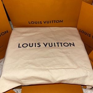 Louis Vuitton Large Dust Bag